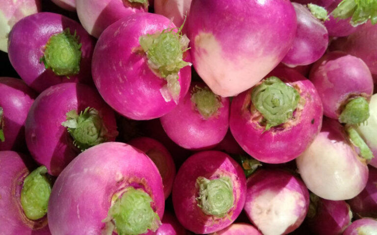 health benefits of turnips