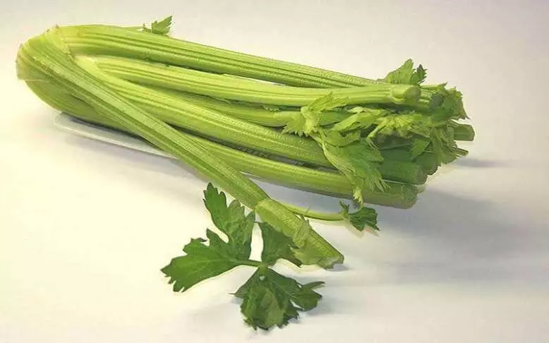 celery-has-many-health-benefits