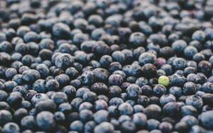 How-to-lose-weight-with-blueberries