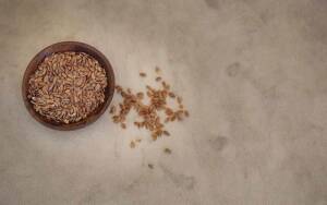 add-flax-seeds-to-your-diet-daily